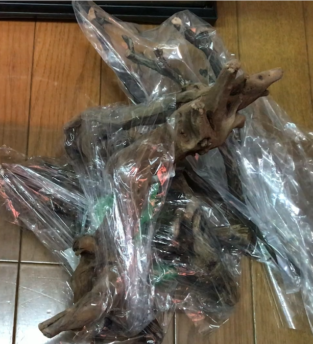 f:id:osakanachannel:20190426003303p:plain