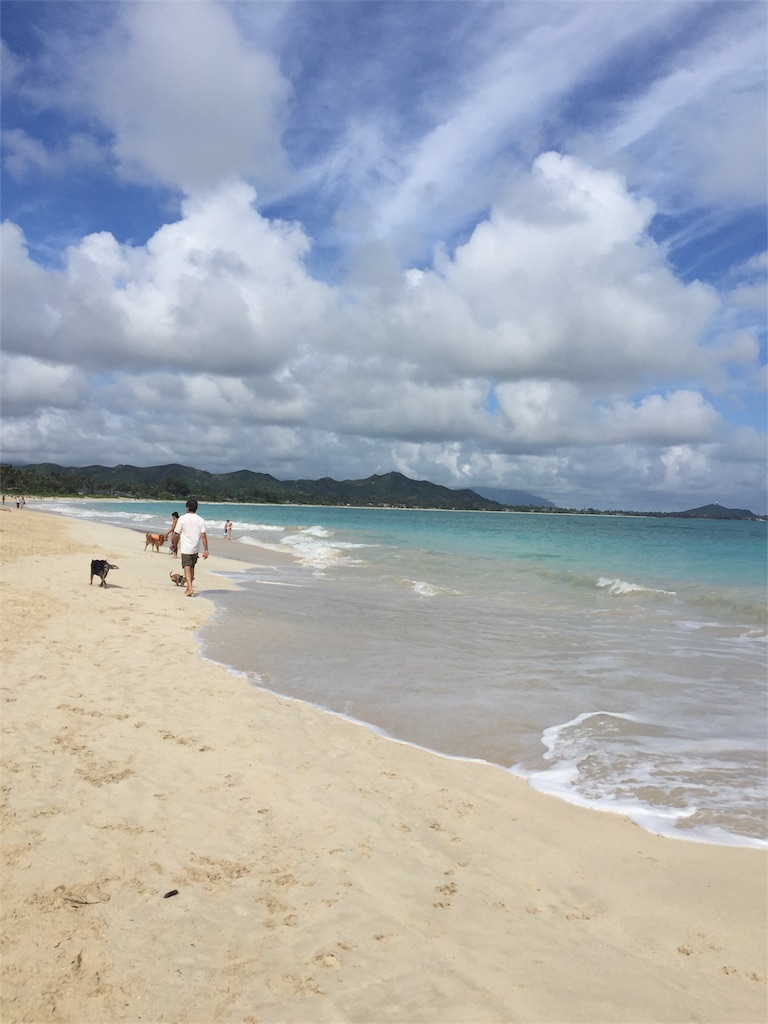 f:id:osakanadan:20180823191917j:image f:id:osakanadan:20180823191917j:image