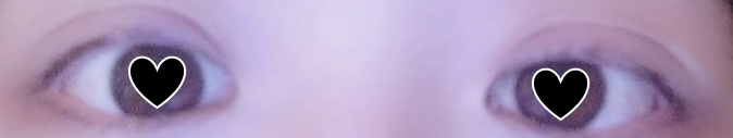 f:id:osakanasango:20200210110800p:plain