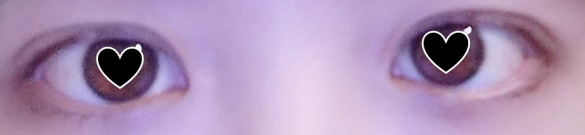 f:id:osakanasango:20200210114051p:plain