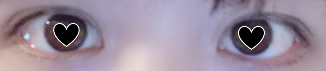 f:id:osakanasango:20200210114729p:plain