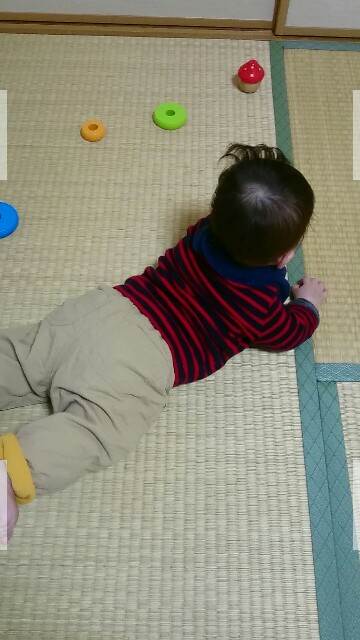 生後5ヶ月 ずりばいを撮ってみた Osaka N Blog