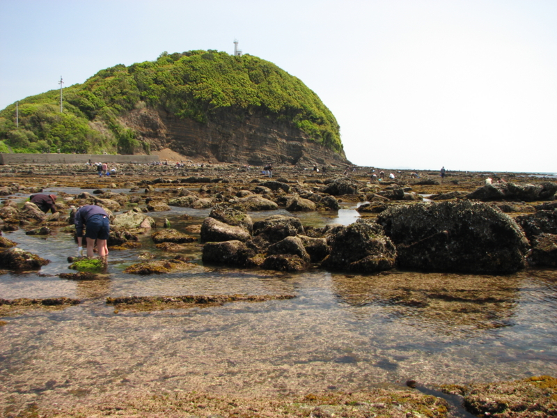 f:id:osakawan:20100429130527j:image:w360:right