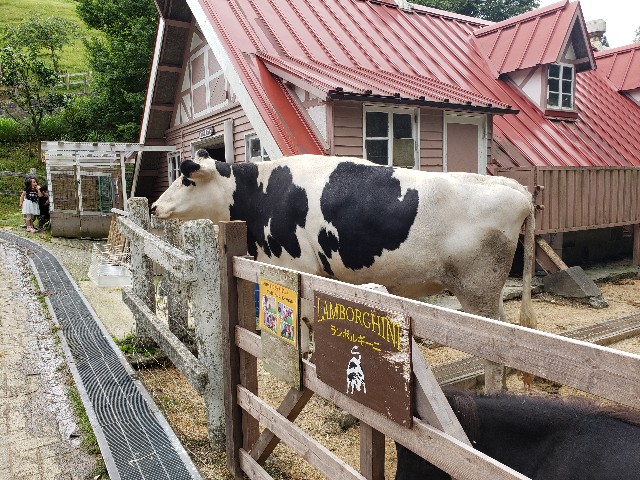 f:id:osake_nomitai:20200713041430j:image f:id:osake_nomitai:20200713041430j:image