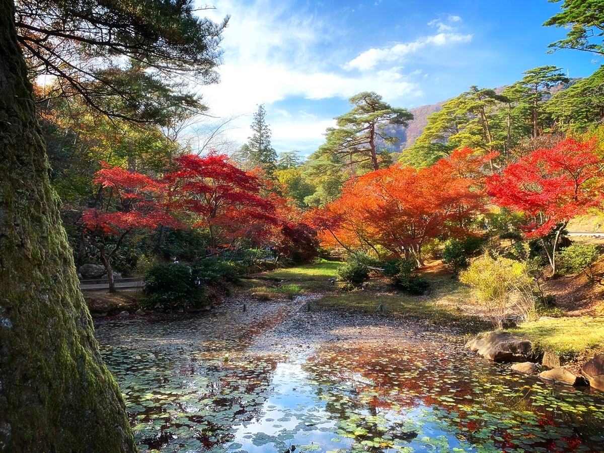 f:id:osakechan:20191121153801j:plain