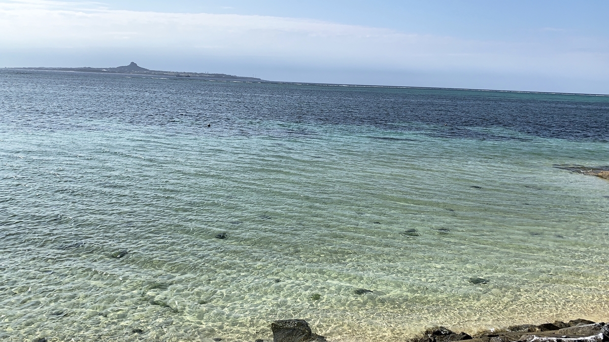 f:id:osakechan:20191209133755j:plain