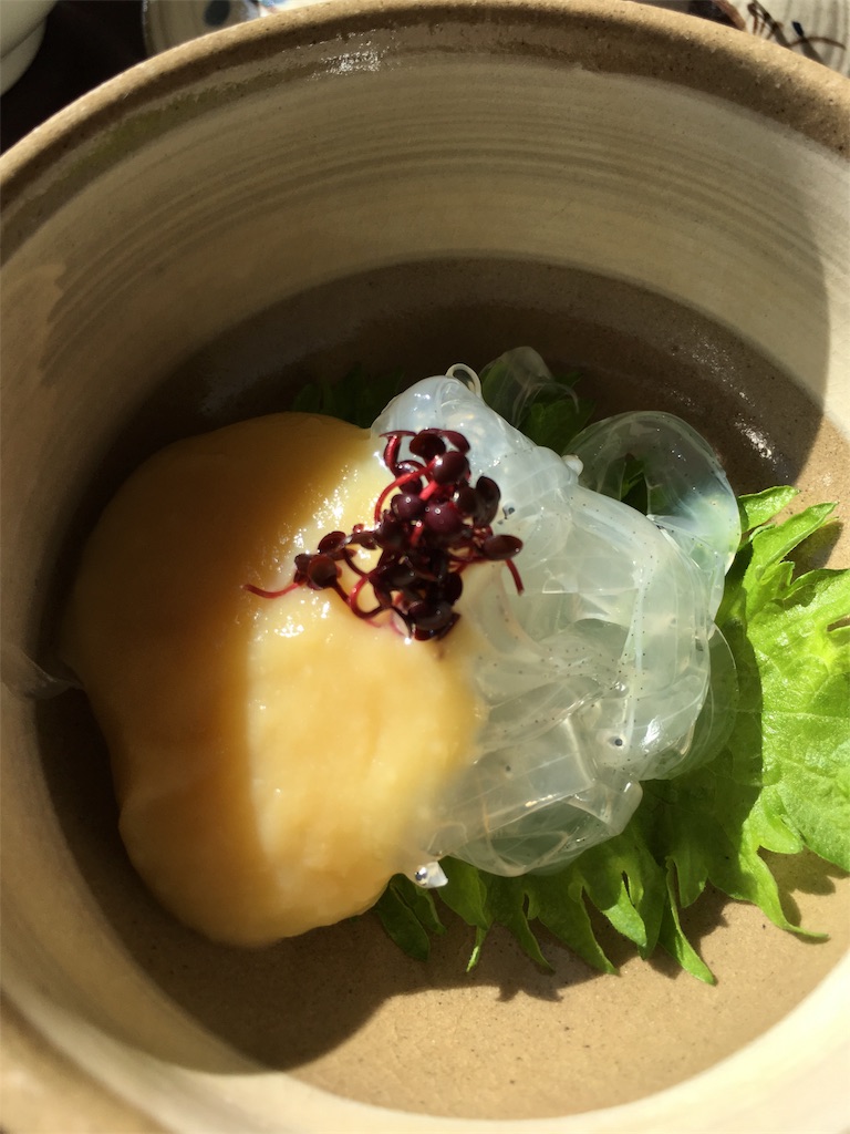 f:id:osakezukideotakunaocchan:20170114075214j:image f:id:osakezukideotakunaocchan:20170114075214j:image