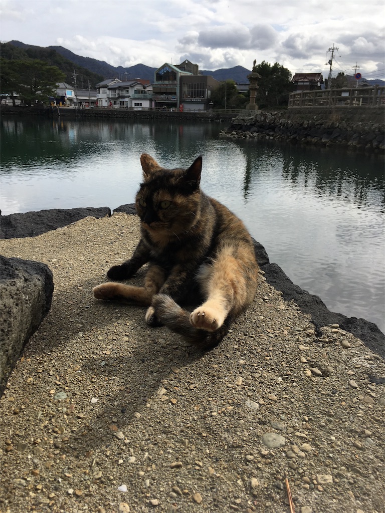 f:id:osakezukideotakunaocchan:20170121112236j:image