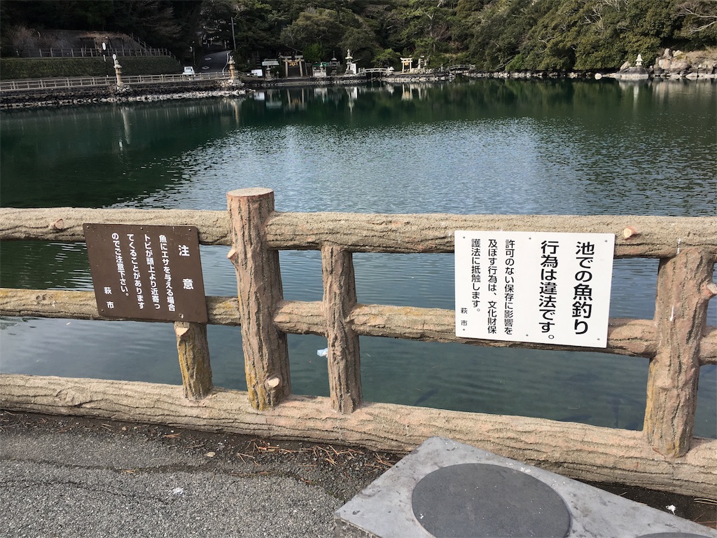 f:id:osakezukideotakunaocchan:20170121112512j:image