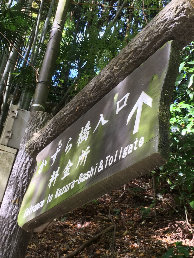 f:id:osakezukideotakunaocchan:20171122115728j:image f:id:osakezukideotakunaocchan:20171122115728j:image