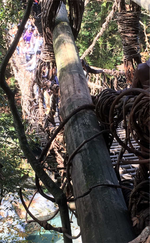 f:id:osakezukideotakunaocchan:20171122120859j:image f:id:osakezukideotakunaocchan:20171122120859j:image