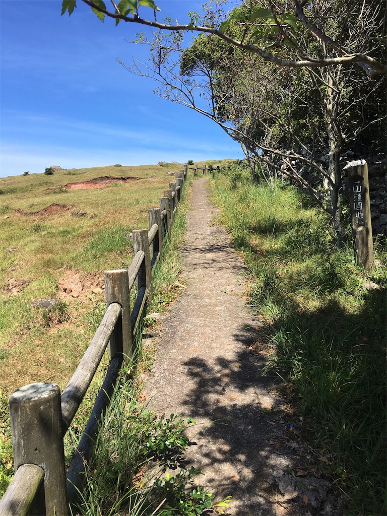 f:id:osakezukideotakunaocchan:20180821101037j:image