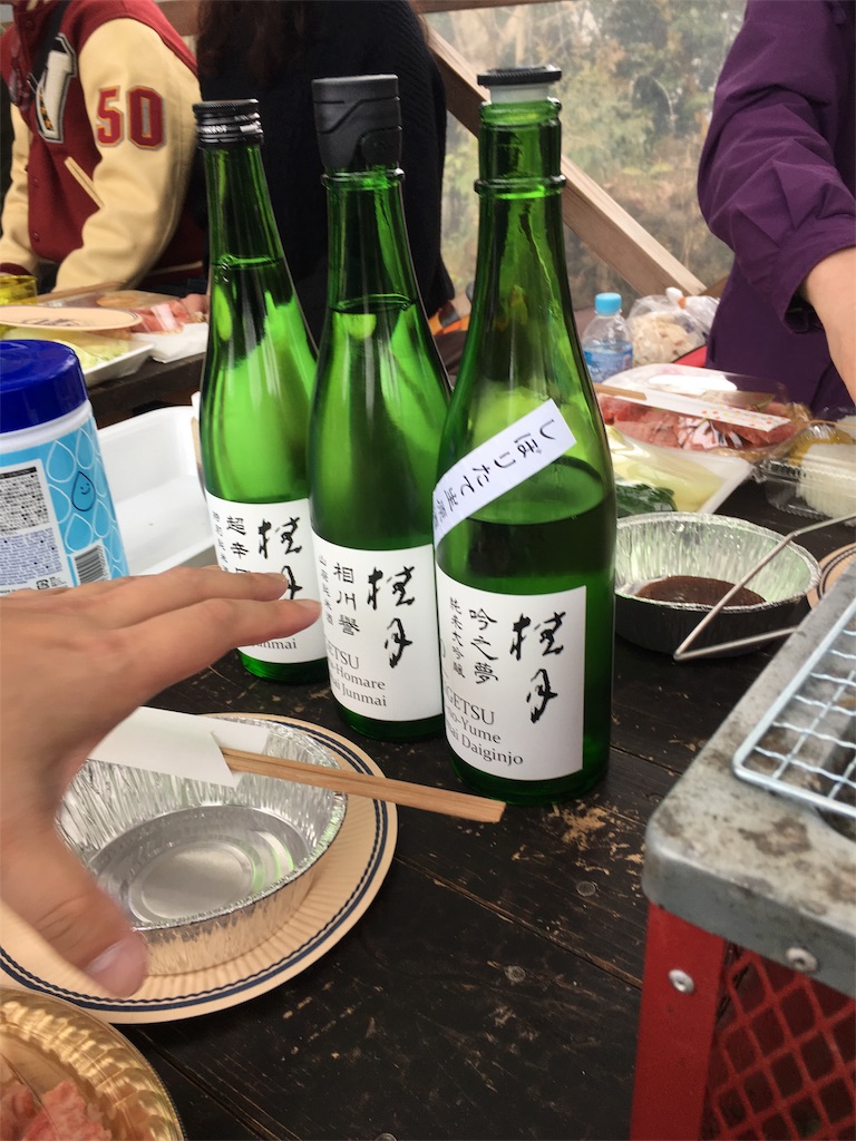 f:id:osakezukideotakunaocchan:20190328141332j:image