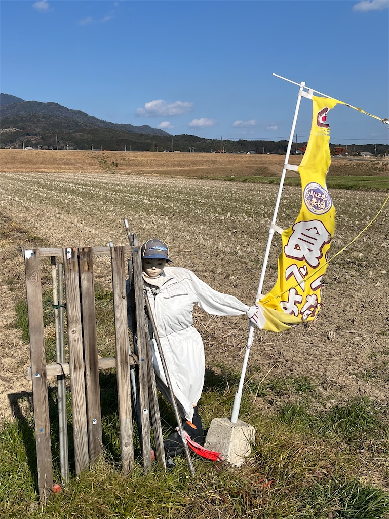 f:id:osakezukideotakunaocchan:20230216222444j:image