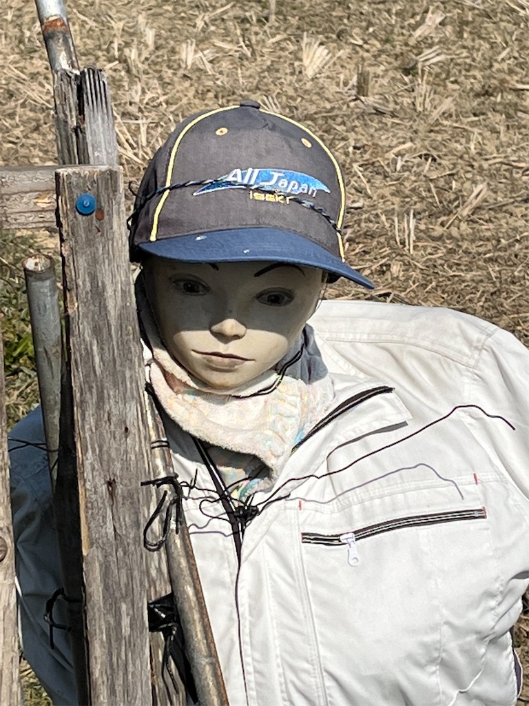 f:id:osakezukideotakunaocchan:20230216222447j:image