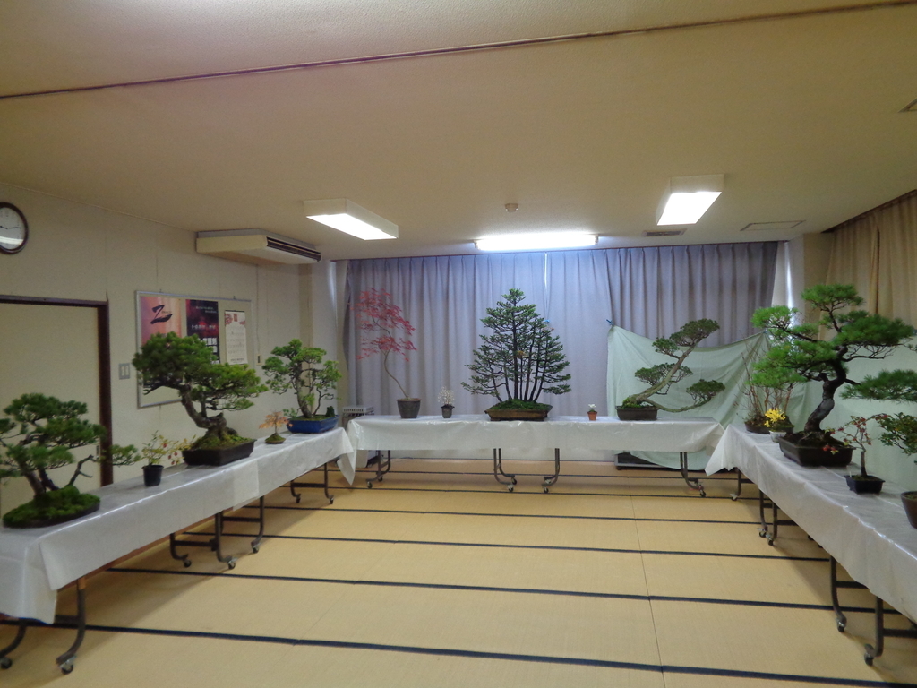 f:id:osaki_com:20190111145842j:plain