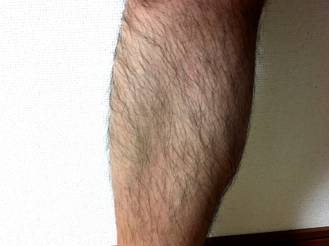 すね毛が 単に脛から毛が生えているという認識に収まらなくなってきている お先です の足跡