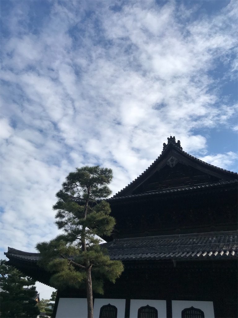 f:id:osamposampo:20211124132354j:image