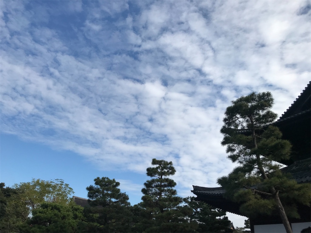 f:id:osamposampo:20211124132404j:image