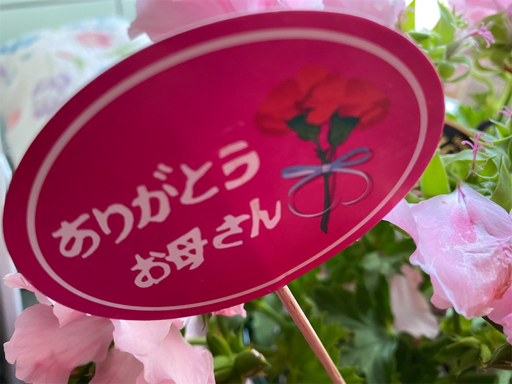 f:id:osamu-3:20200510140529j:image