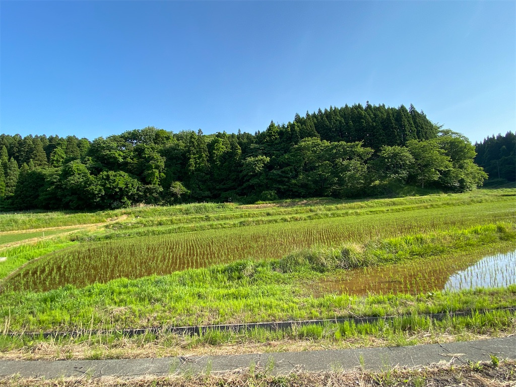 f:id:osamu-3:20200610161614j:image f:id:osamu-3:20200610161614j:image