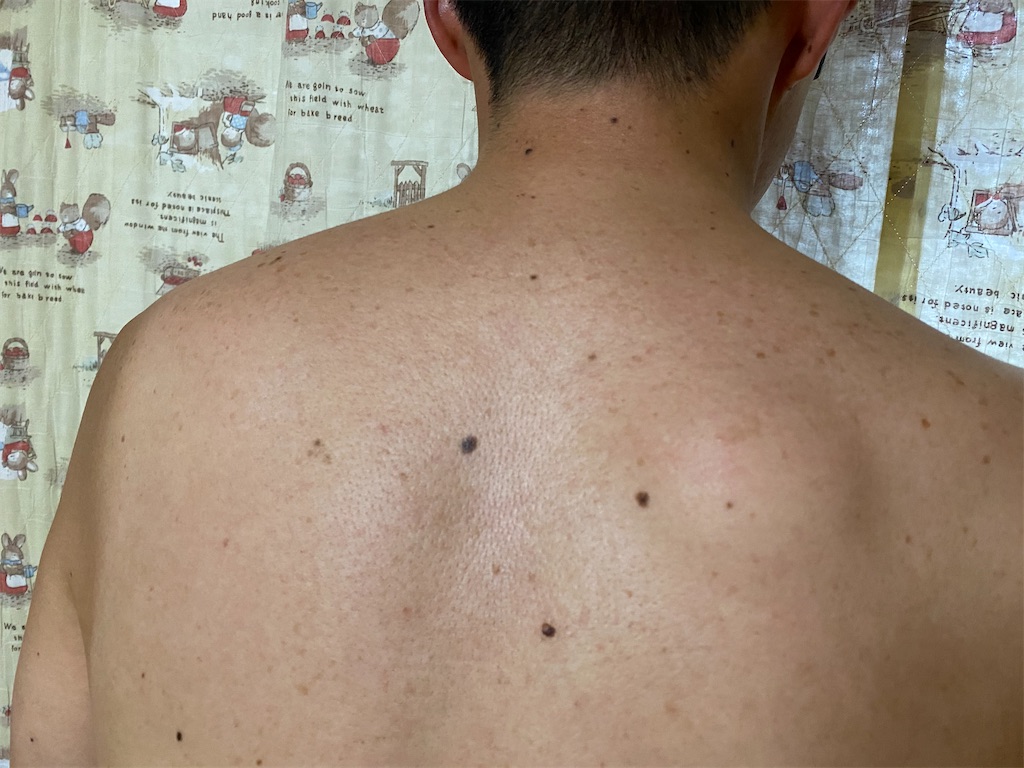 f:id:osamu-3:20200614155004j:image