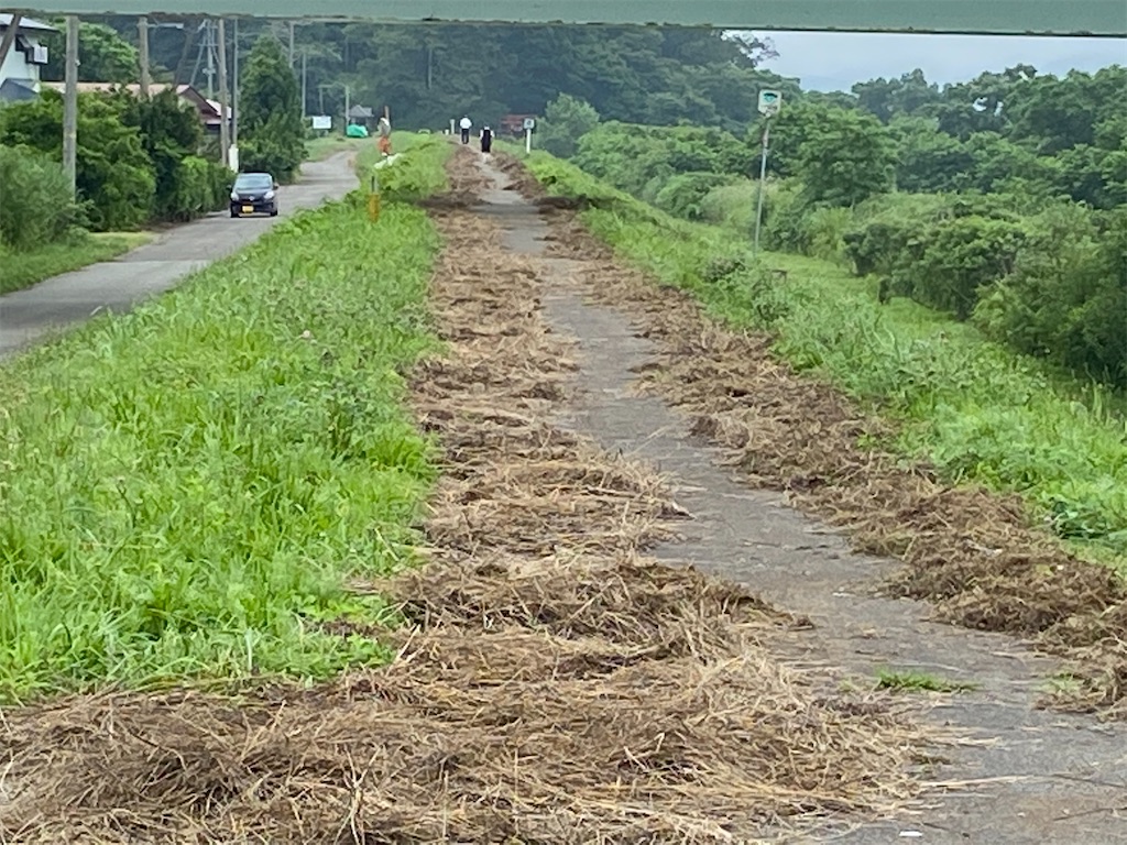 f:id:osamu-3:20200710101609j:image