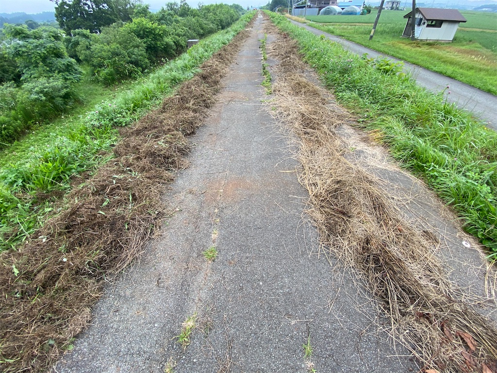 f:id:osamu-3:20200710101629j:image