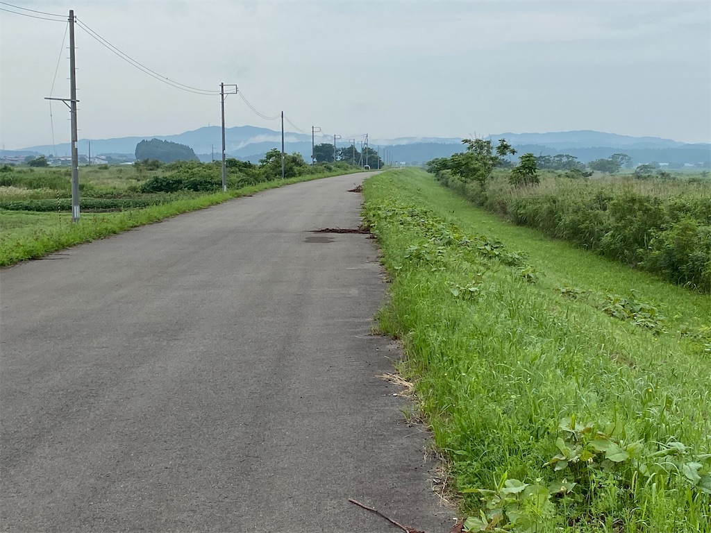 f:id:osamu-3:20200710145203j:image