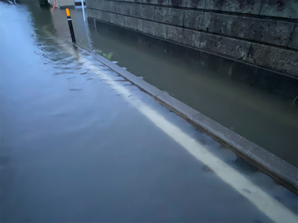 f:id:osamu-3:20200731183319j:image