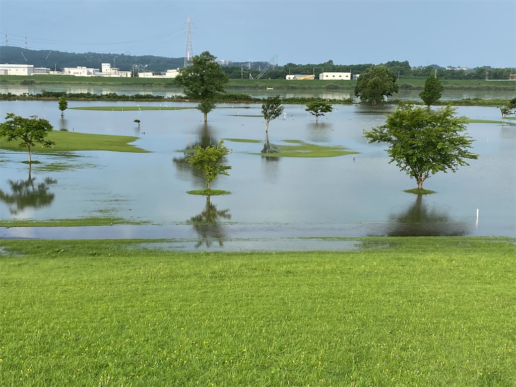 f:id:osamu-3:20200810162949j:image