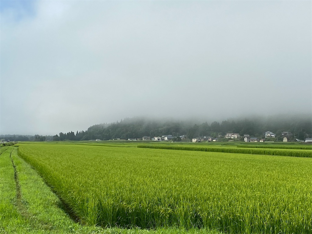 f:id:osamu-3:20200810170725j:image