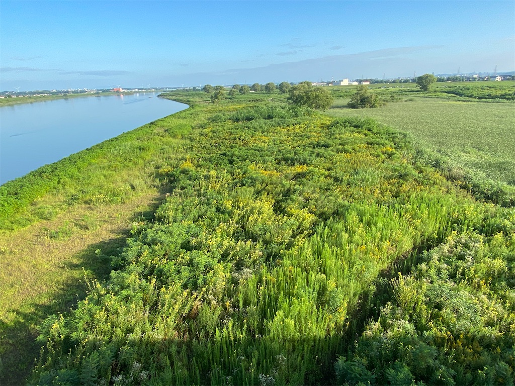 f:id:osamu-3:20200811151948j:image