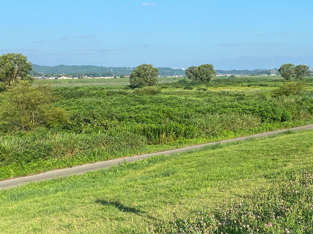 f:id:osamu-3:20200811152010j:image