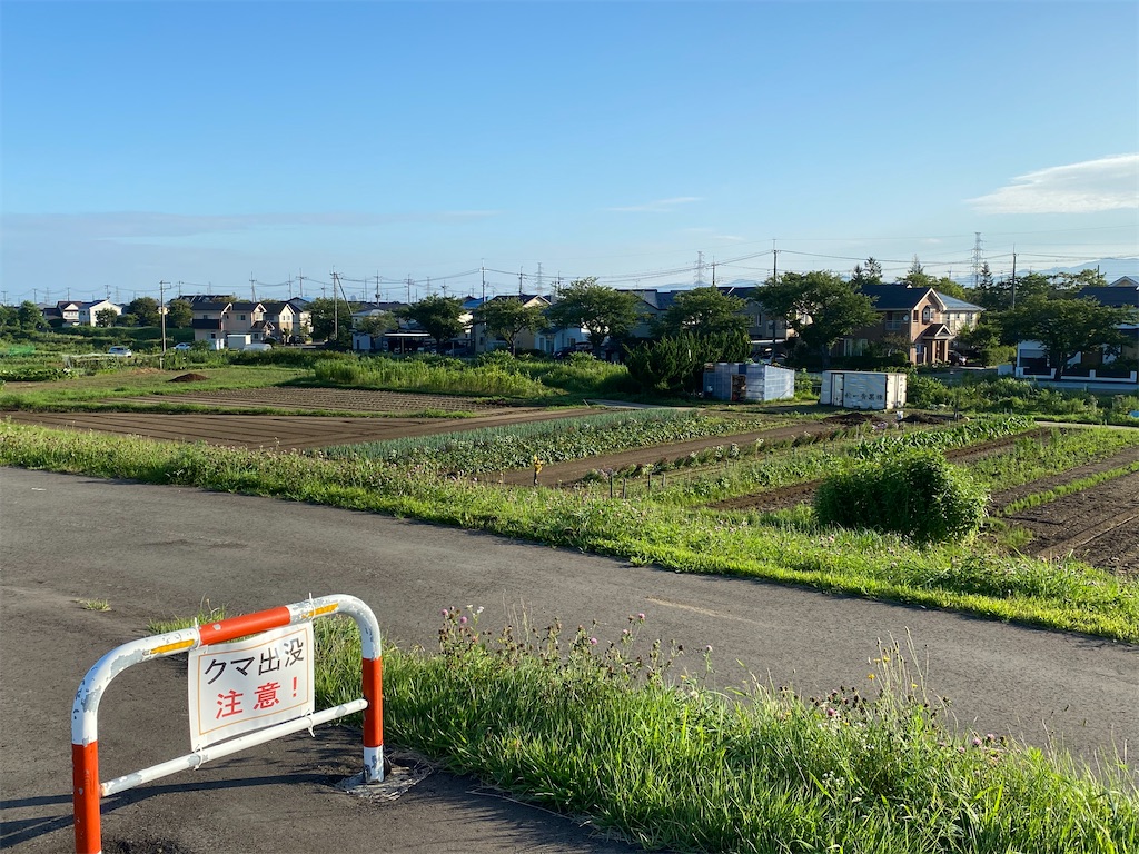 f:id:osamu-3:20200811152026j:image