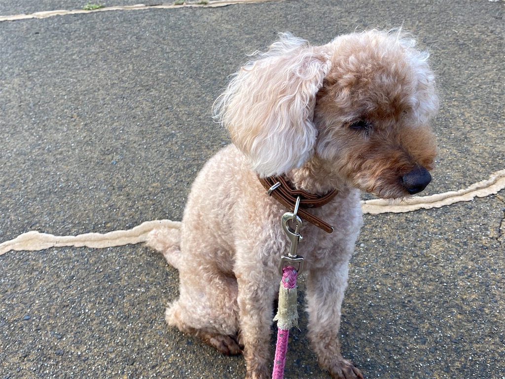 f:id:osamu-3:20200819165739j:image