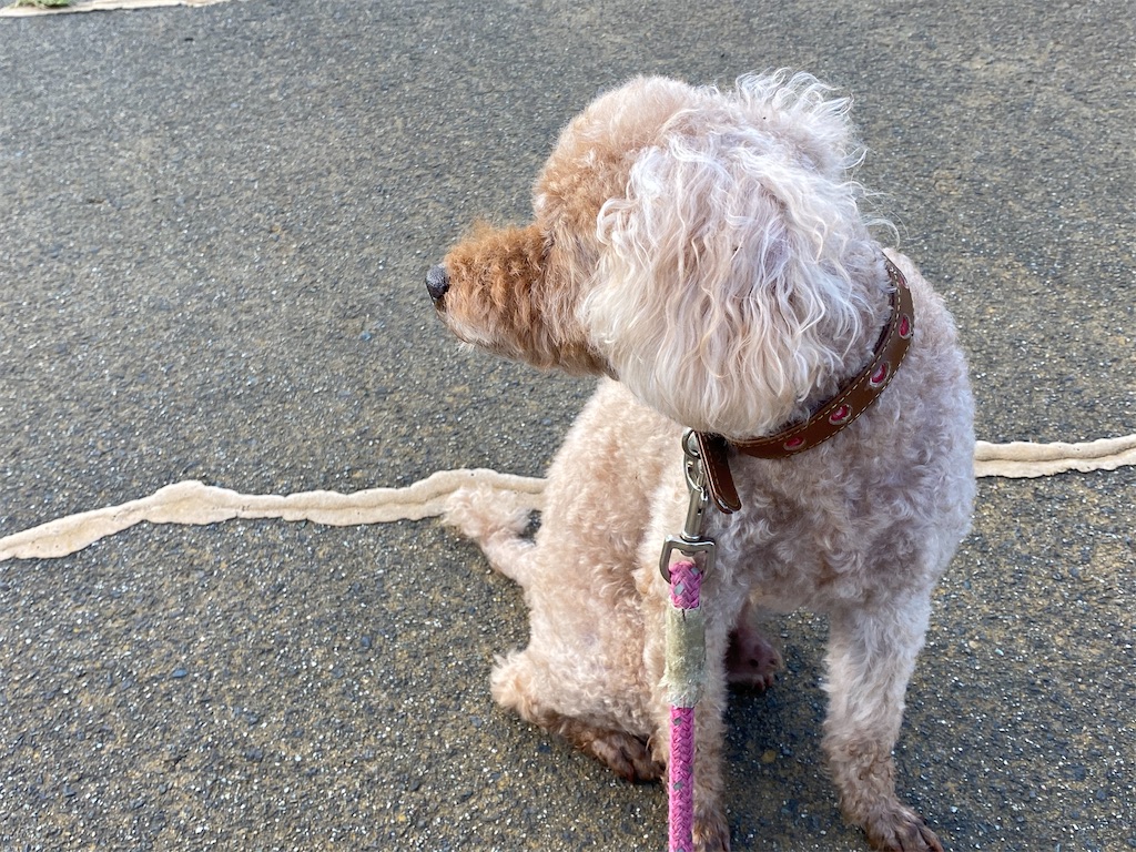 f:id:osamu-3:20200819165752j:image