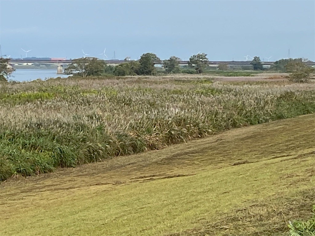 f:id:osamu-3:20201003163945j:image