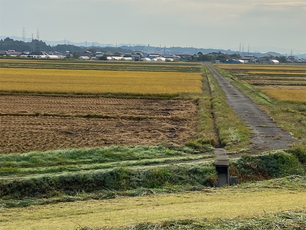 f:id:osamu-3:20201003164027j:image