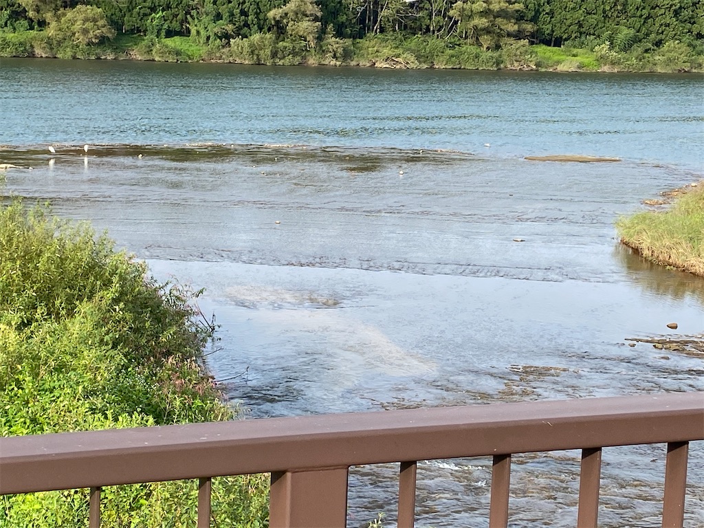 f:id:osamu-3:20201003164139j:image