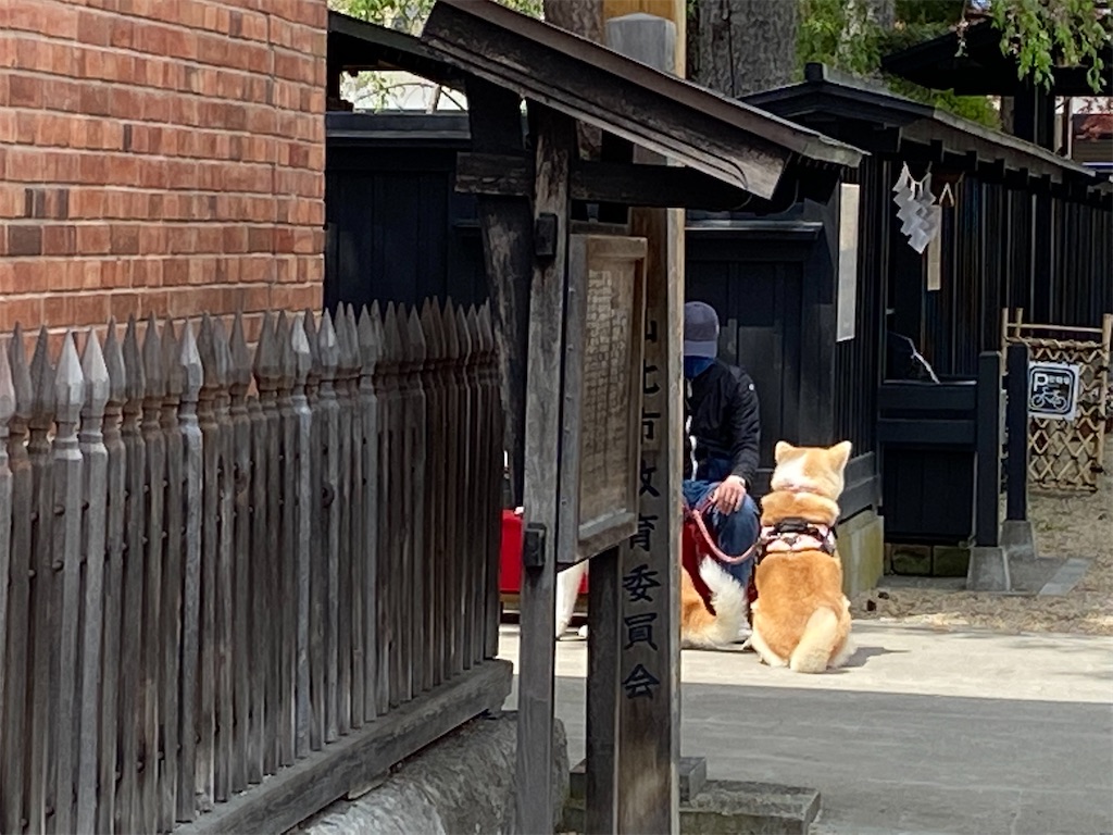 f:id:osamu-3:20210504174214j:image