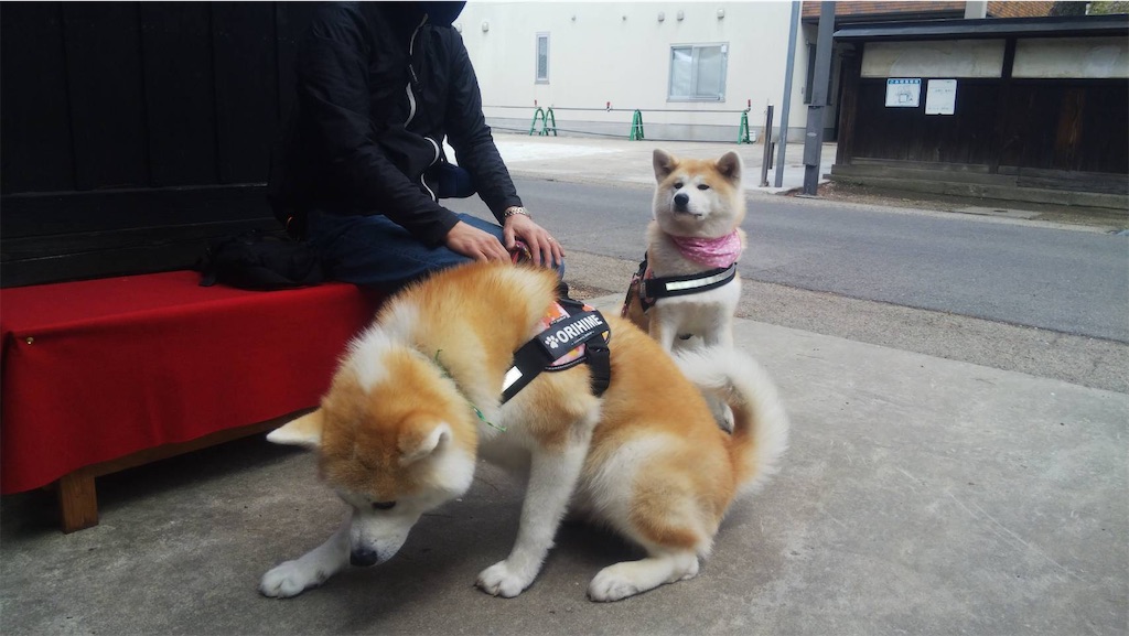 f:id:osamu-3:20210504180417j:image