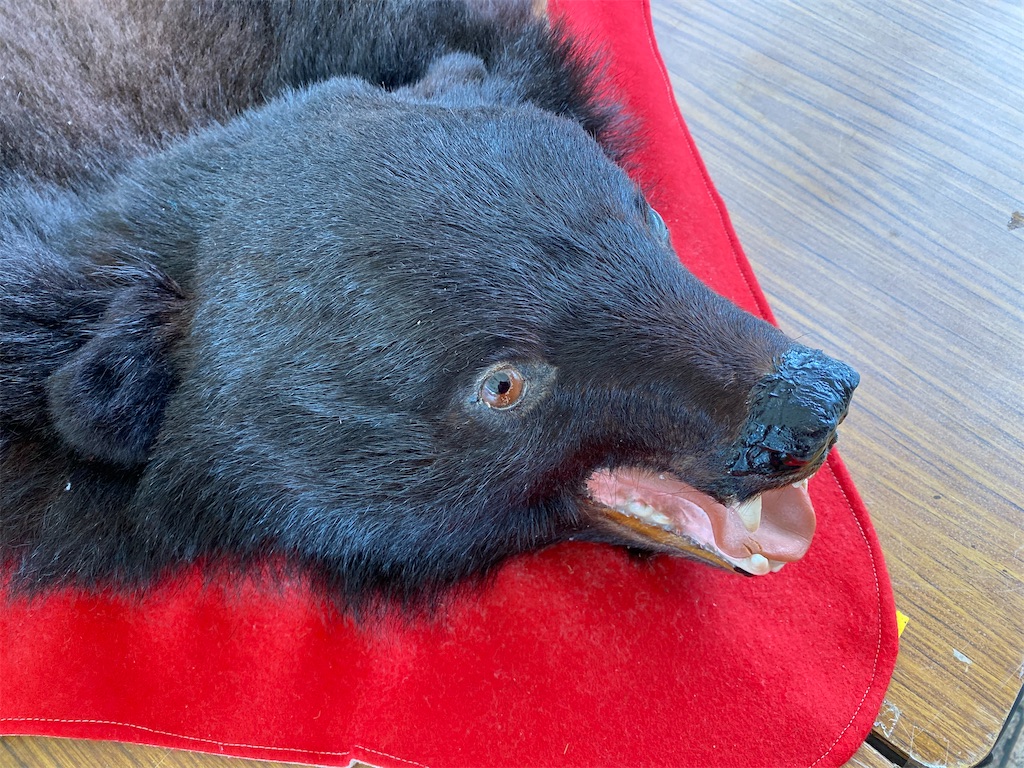 f:id:osamu-3:20210504185559j:image