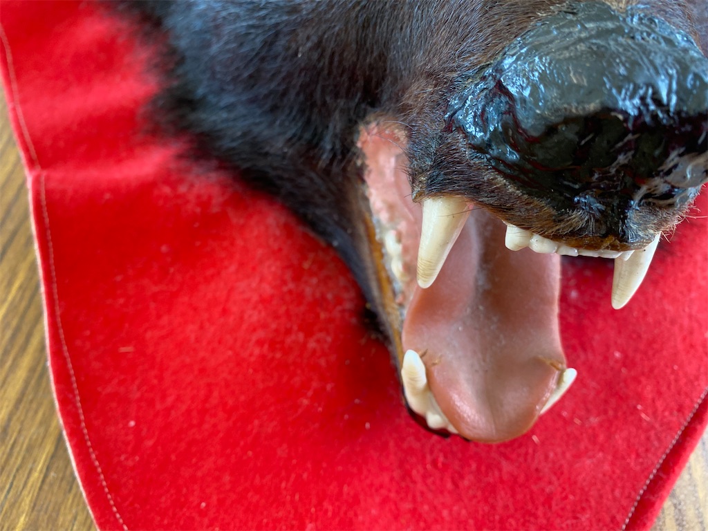 f:id:osamu-3:20210504185624j:image