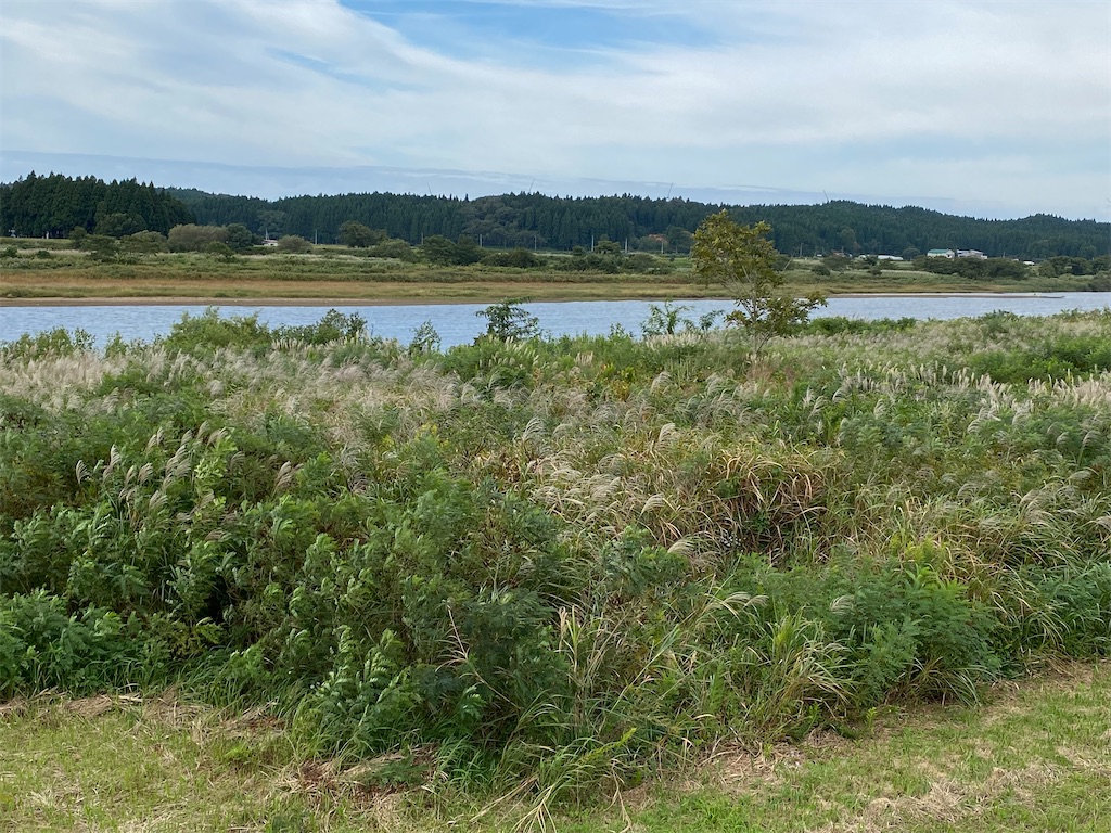 f:id:osamu-3:20211002172827j:image