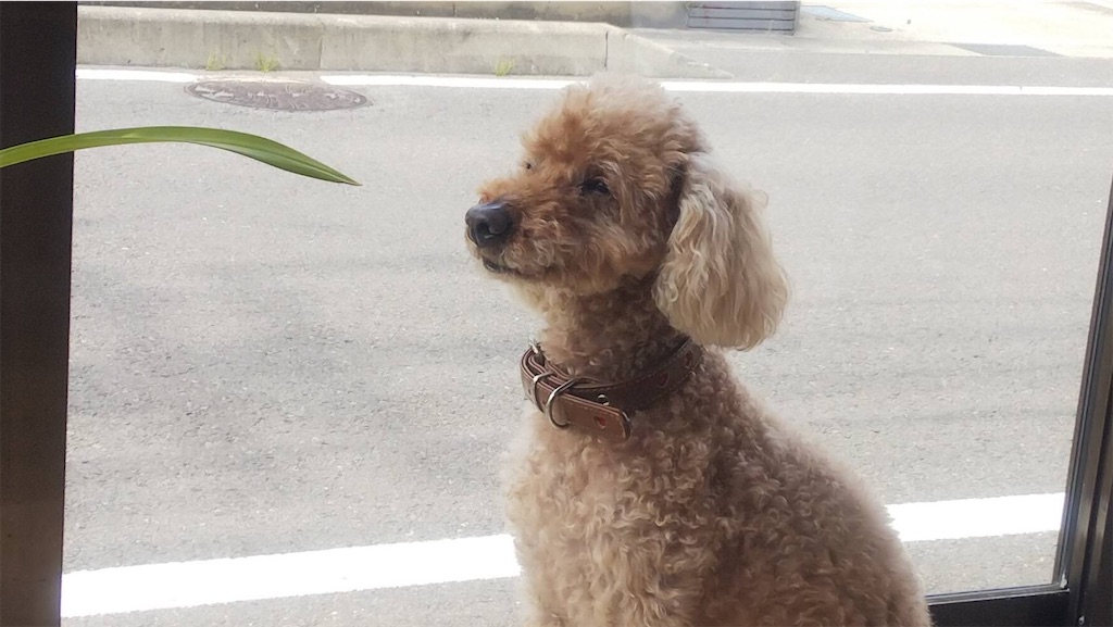 f:id:osamu-3:20230325182744j:image