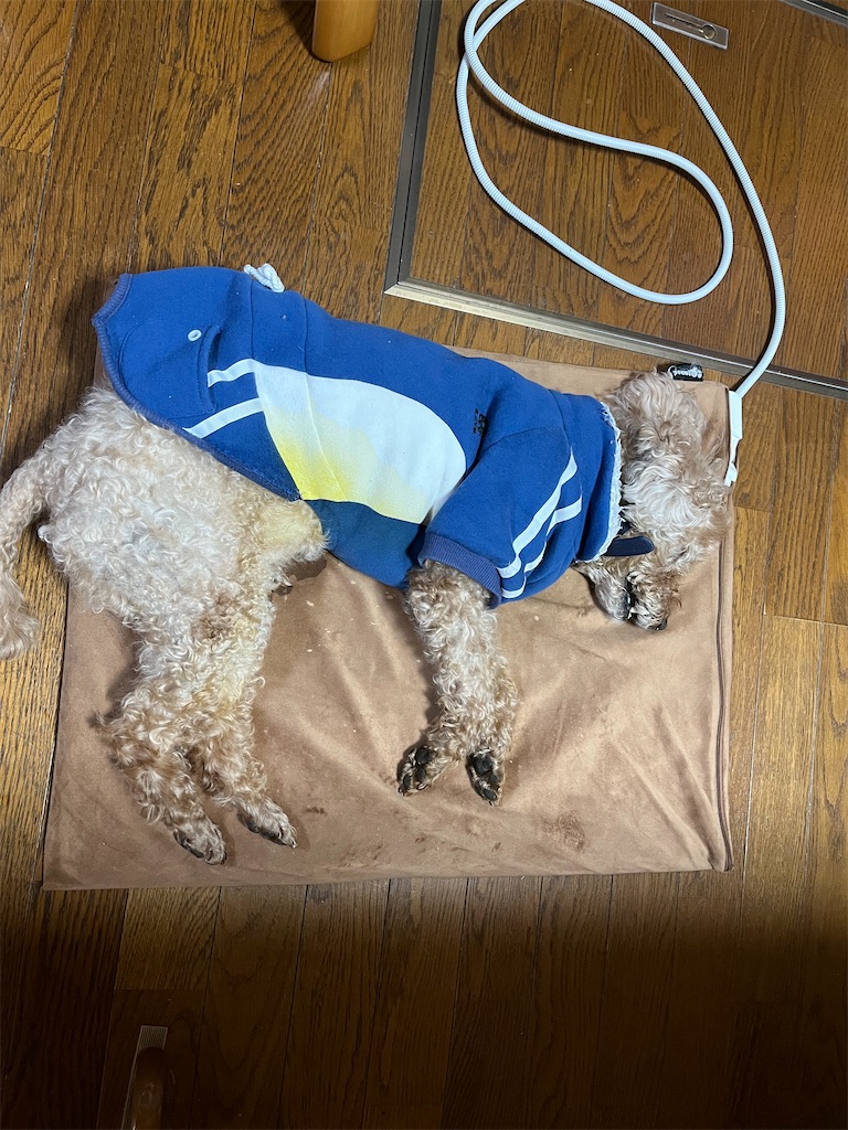 f:id:osamu-3:20230326094412j:image