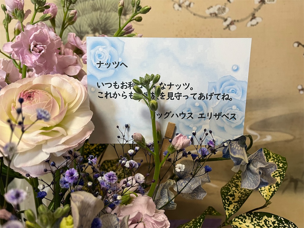 f:id:osamu-3:20230326155728j:image