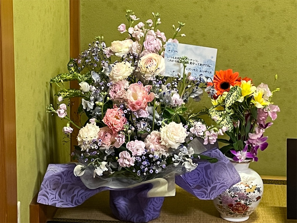 f:id:osamu-3:20230326155731j:image