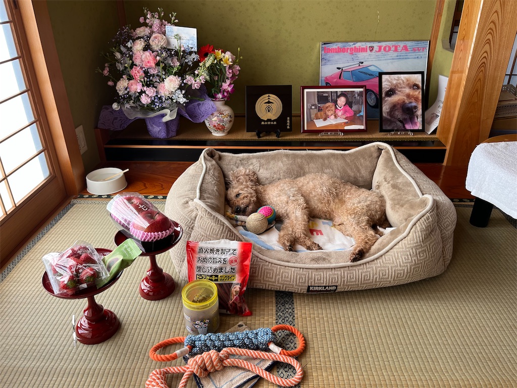 f:id:osamu-3:20230327143814j:image